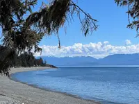View 39