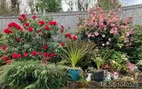 View 42