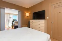 View 24