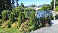 View 31