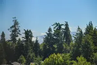 View 48