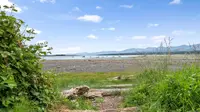 View 57