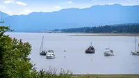 View 45