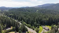 View 40