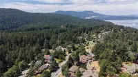 View 39