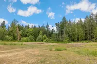 View 44
