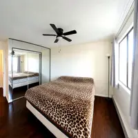 View 12