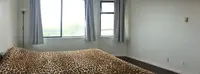 View 10