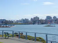 View 29