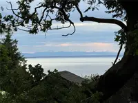 View 41