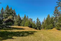 View 46