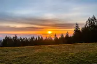 View 50