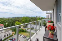 View 25