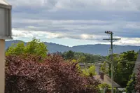 View 39