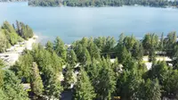 View 34