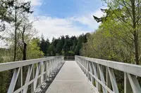 View 55