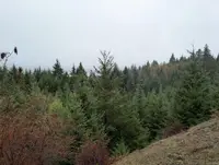 View 6