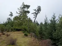 View 5