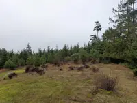 View 4
