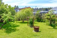 View 66