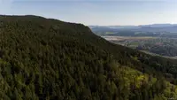 View 67