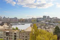 View 39