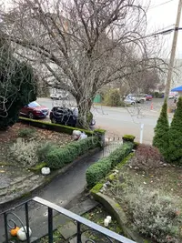 View 56