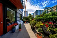 View 25