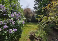 View 39