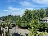 View 66