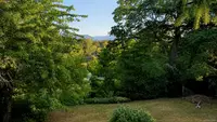 View 5