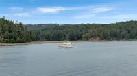 View 49