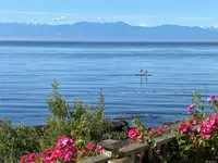 View 42