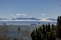 View 13