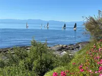 View 43