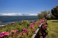 View 10