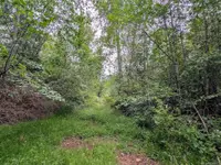 View 37