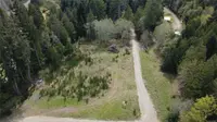 View 15