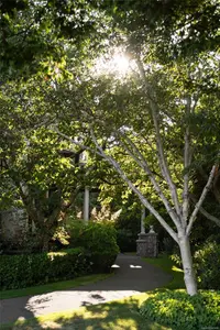 View 62