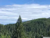 View 65