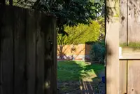 View 29