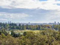 View 19