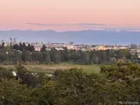 View 21