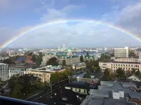 View 33