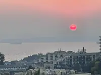 View 31