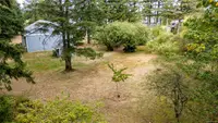View 81