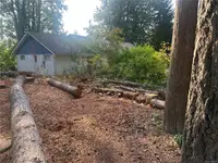 View 60
