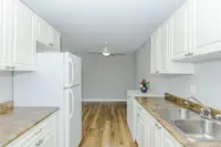 View 14