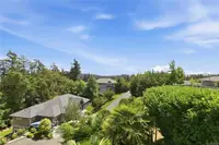 View 62
