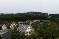 View 39